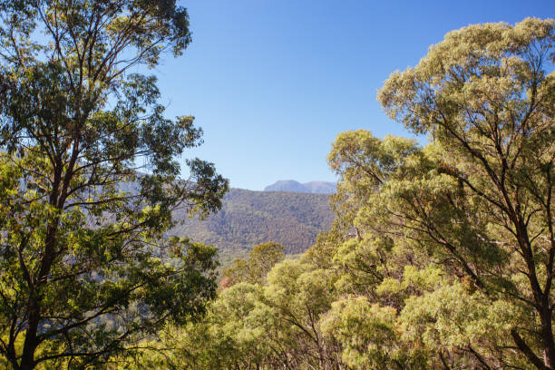 istock Scammells Ridge Lookout in Australia 1334844709