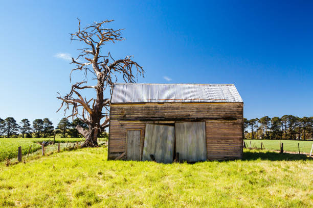istock Rural Landscape in Victoria Australia 1334844714