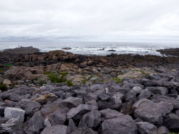 istock Coast with rocks, plants, trees and waves of Atlantic Ocean. 1334849632
