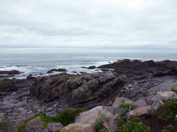 istock Coast with rocks, plants, trees and waves of Atlantic Ocean. 1334849633