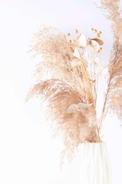 istock Dry herbal bouquet on a white background, blurred 1334849805