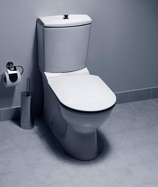 istock Bathroom toilet bowl 133485053