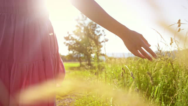 SLO MO TS Woman walking in the sunny field and touching the grass with her hand