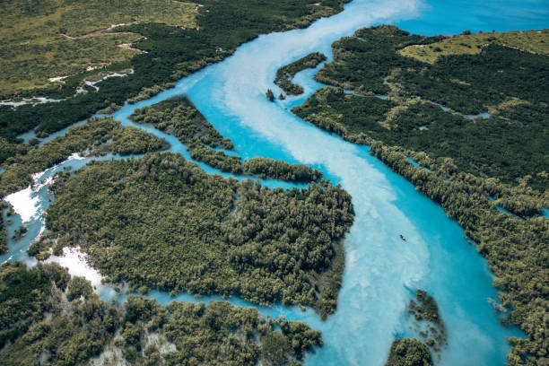 fazenda de pérolas willie creek na região de kimberley na austrália ocidental - broome - fotografias e filmes do acervo