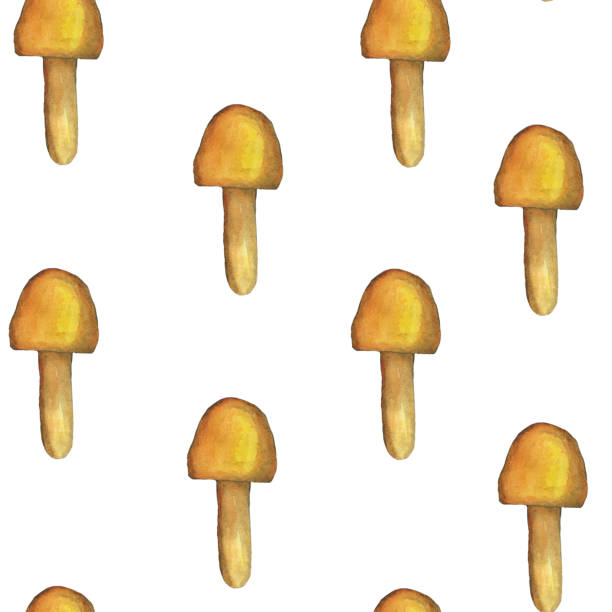 istock Cute cartoon mushroom seamless pattern on white background. Watercolor hand drawing illustration. Perfect for wallpaper, digital paper, print. Yellow toadstool mushroom. 1334852975