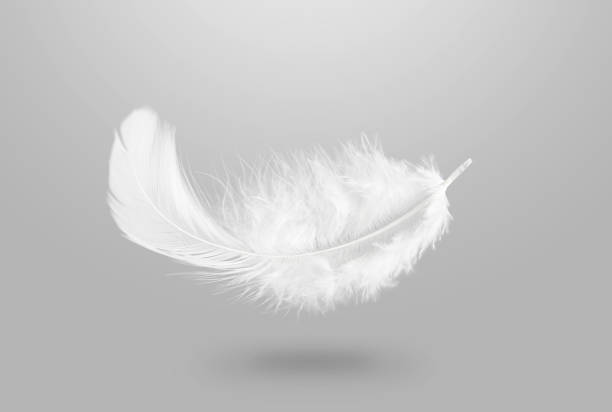 istock Lightly White Fluffy Feather Falling Down in The Air.  Abstract Feather Flying in Heavenly. 1334854816