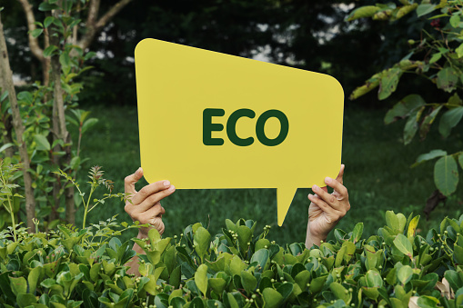 ECO text with speech bubble