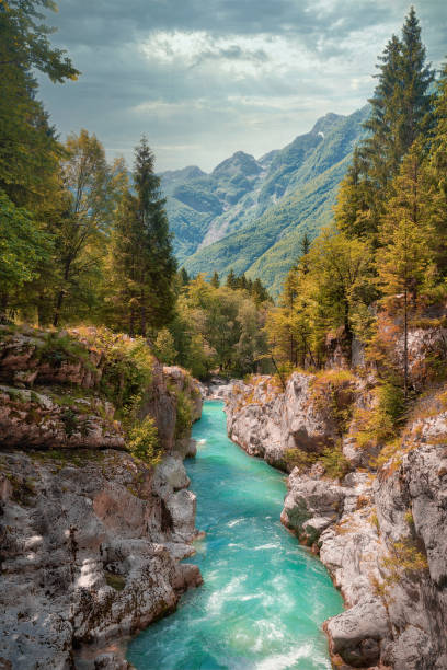 istock Soca River in Triglav National Park, Slovenia 1334861738
