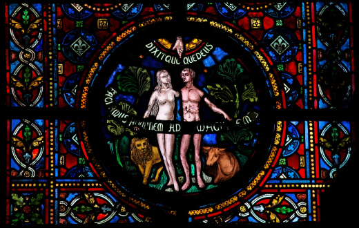 La creación de adán y Eve photo