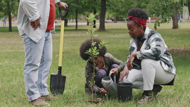 African-American Boy Planting Tree in Park