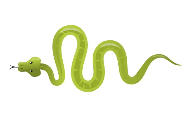 Vector illustration of Green snake - creative, modern cartoon style object