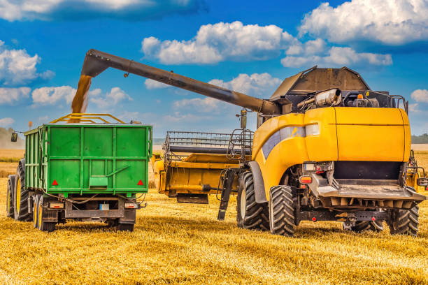 istock Combine Harvester Unloading Grain into the Tractor on The Agricultural Wheat Field 1334866914