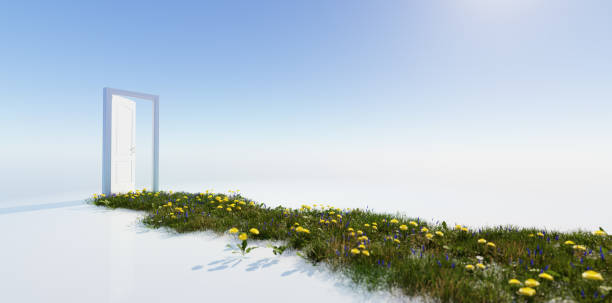 istock Green grass way to open door on sunny sky. 1334867005