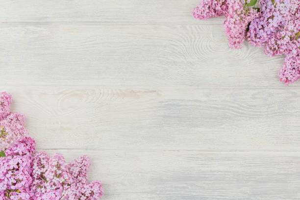 istock White wooden background with lilac 1334868399