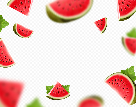 Falling watermelon fruit on transparent background. Blurred and realistic watermelon slices and geen leaves for advertising