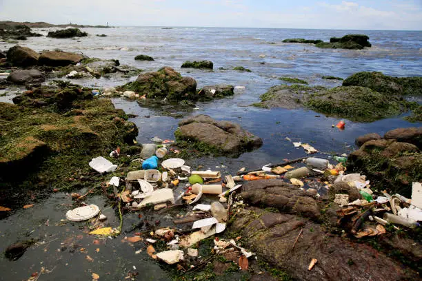 salvador, bahia, brazil - january 11, 2021: pollution and garbage on the Costa Azul beach in the city of Salvador. The material is drained into the sewage channel of the Rio Camurugipe and dumped into the sea.