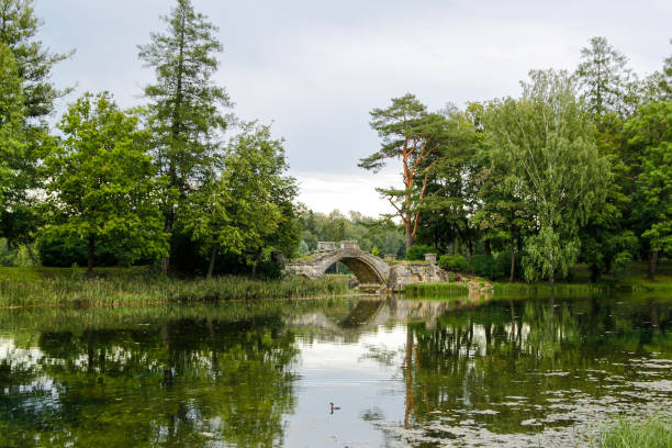 istock old bridge in the park 1334869479