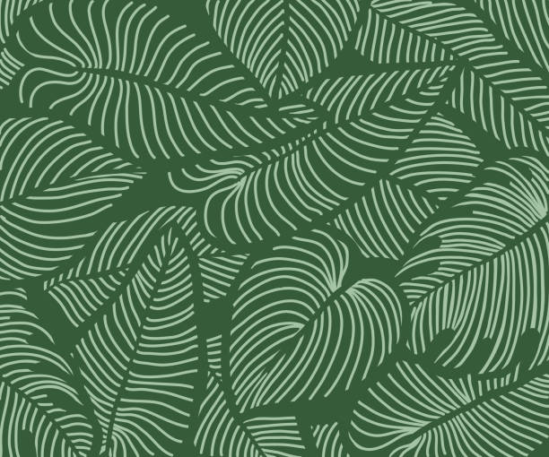 ilustrații de stoc cu model tropical de fundal floral de lux, - model tropical
