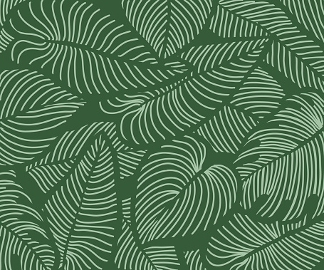 Luxury floral nature background vector. nature tropical pattern, split-leaf Philodendron plant with monstera plant line arts, Vector illustration.