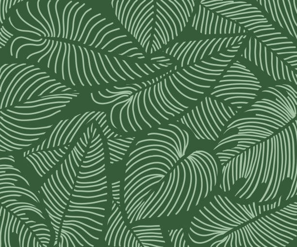 Luxury floral nature background tropical pattern, Luxury floral nature background vector. nature tropical pattern, split-leaf Philodendron plant with monstera plant line arts, Vector illustration. monstera stock illustrations