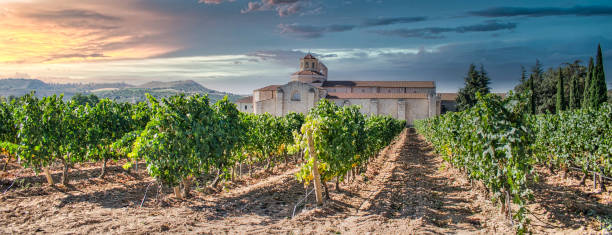 viñedo y vides con el monasterio de santa maría de valbuena en la ribera del río duero, españa - provincia de valladolid fotografías e imágenes de stock