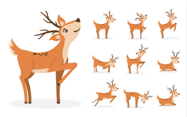 813 Female Deer Cartoon Illustrations & Clip Art - iStock