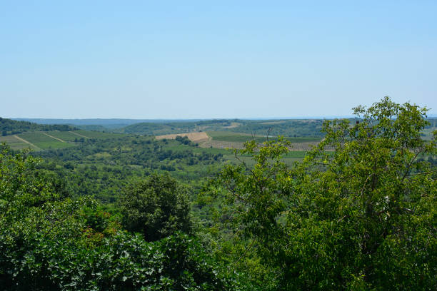 istock Landscape Near Buje, Croatia 1334888766