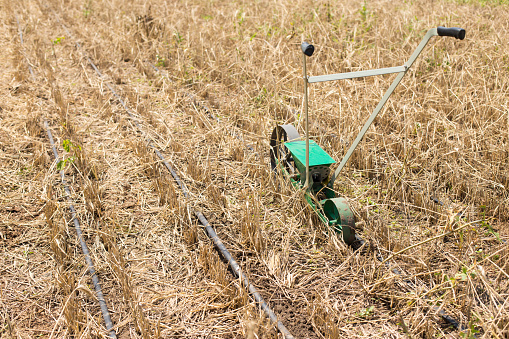 Small manual seeder on a field with risky drought zone.