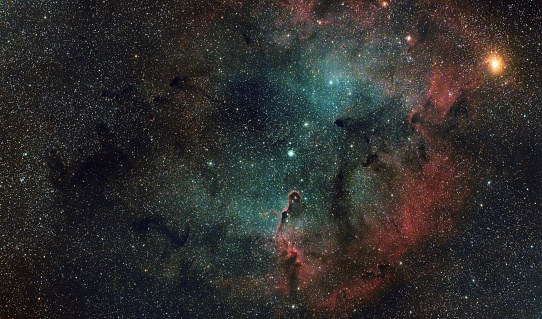 Elephant trunk nebula with natural color