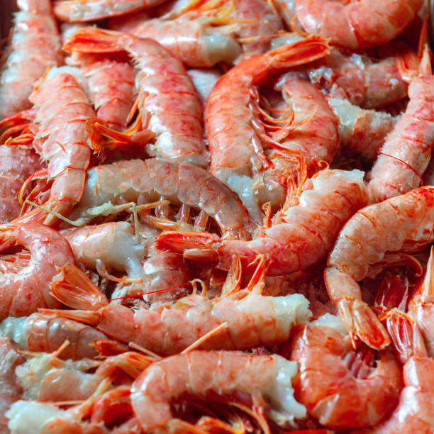 istock Fresh frozen Norwegian lobster. 1334895880