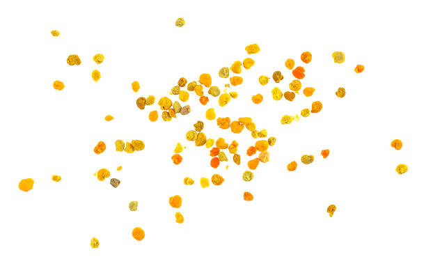 istock Honey bee pollen isolated on a white background, top view. 1334895950