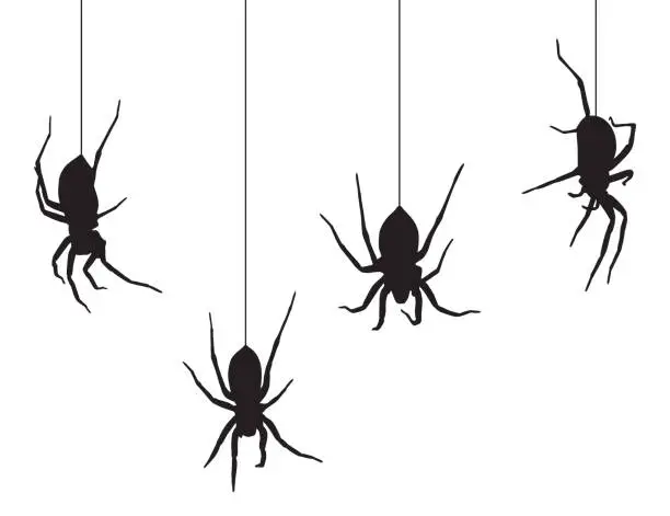 Vector illustration of Four Black Spiders Hanging From Their Webs