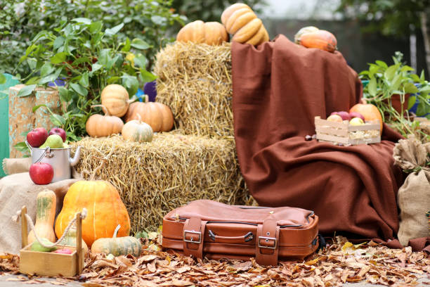 istock Haystack in nature as a photo background for printing and shooting 1334900911