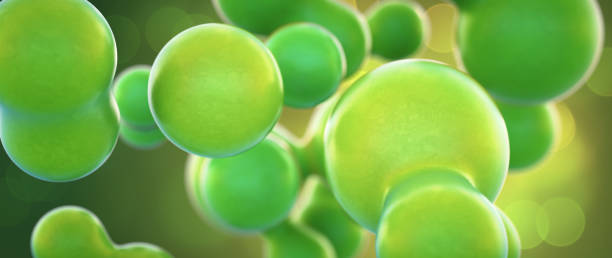 istock Artificial green molecular bubble shapes connected in a larger physical structure. Close-up, horizontal composition. 1334900988