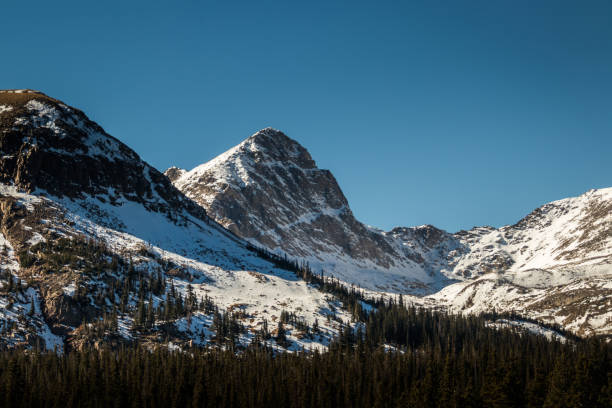 istock Dramatic snowy mountain peaks with pine trees, winter background 1334907360