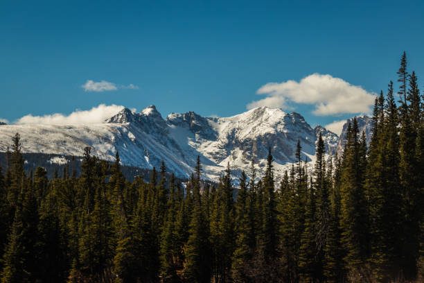 istock Dramatic snowy mountain peaks with pine trees, winter background 1334907361