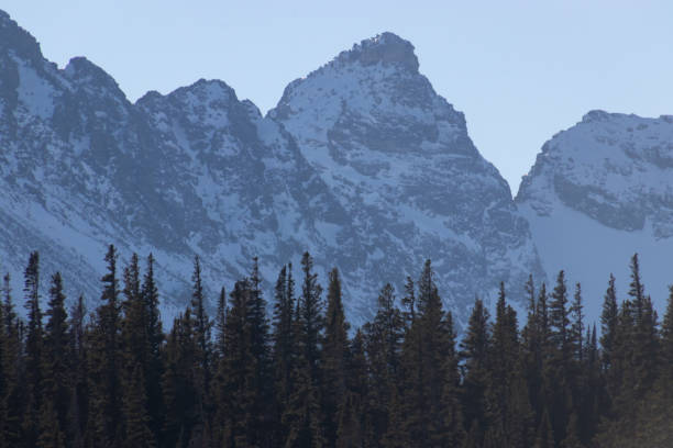 istock Dramatic snowy mountain peaks with pine trees, winter background 1334908069