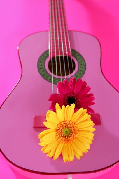 istock Hippie flower yellow pink gerbera on guitar 1334908098