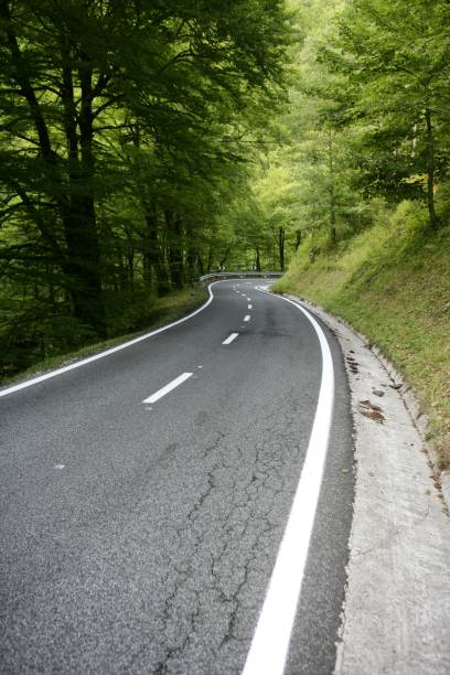 istock Asphalt winding curve road in a beech forest 1334908312