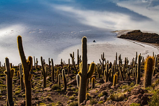 istock The Magical Lake Uyuni 1334909450