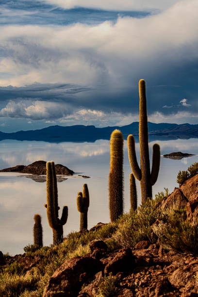 istock The Magical Lake Uyuni 1334909645