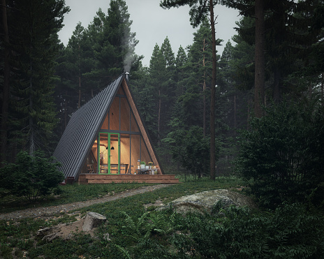 Digitally generated modern wooden triangle bungalow/house in the forest, on a cold and cloudy day.\n\nThe scene was created in Autodesk® 3ds Max 2022 with V-Ray 5 and rendered with photorealistic shaders and lighting in Chaos® Vantage with some post-production added.