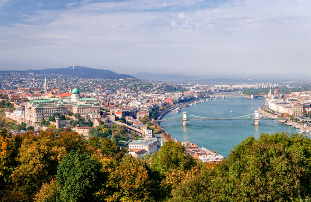 budapeszt i dunaj ze wzgórza gellerta. - budapest chain bridge hungary palace zdjęcia i obrazy z banku zdjęć