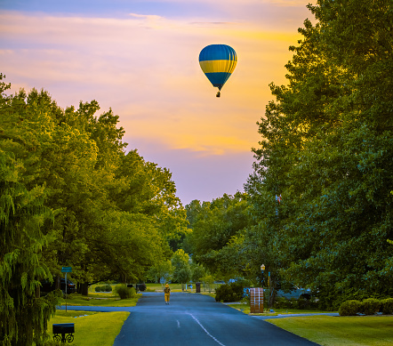 View of colorful hot air balloon flying over Midwestern suburban street lined up with large trees at sunset in summer; woman walking in the street