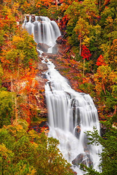 Whitewater Falls, North Carolina, USA Whitewater Falls, North Carolina, USA in the autumn season. landscape stream autumn forest stock pictures, royalty-free photos & images