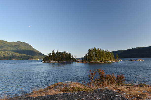 istock Sechelt Inlet camping-kayaking trip, July 2021 1334918748