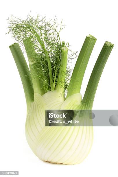 Fat Fennel Root With Green Stems And Fresh Leaves Stock Photo - Download  Image Now - Fennel, White Background, Anise - iStock