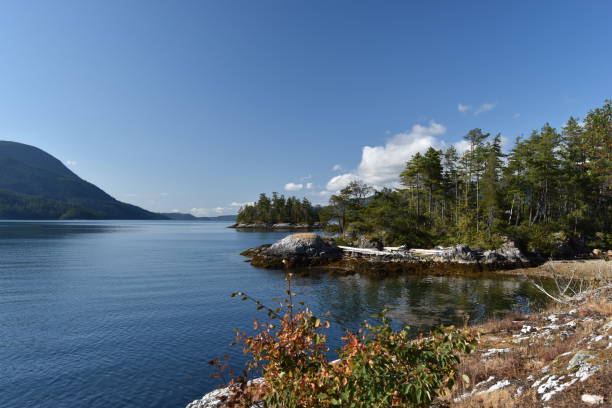 istock Sechelt Inlet camping-kayaking trip, July 2021 1334918811