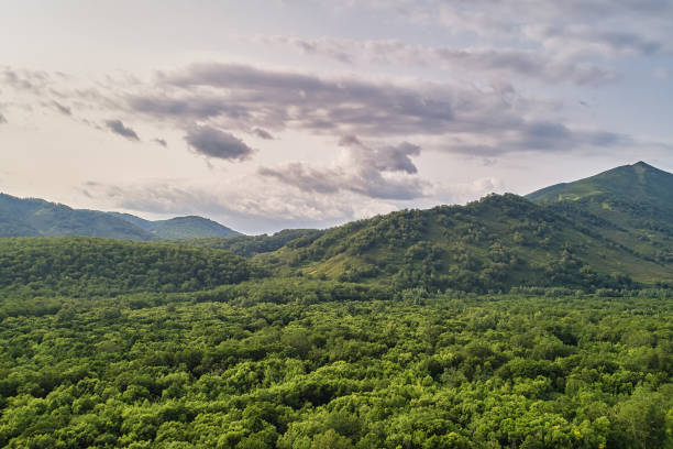 istock Landscape with forest, mountains and clouds 1334921559