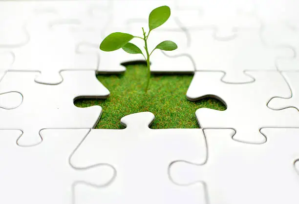 Seedling growing from the missing piece of a jigsaw puzzle 
